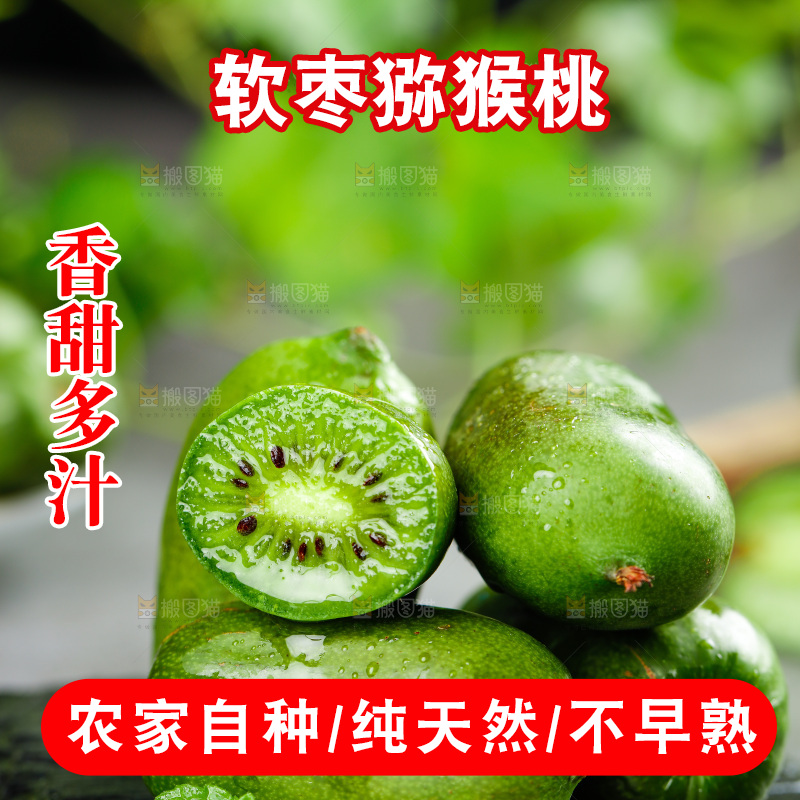 深底上的软枣猕猴桃