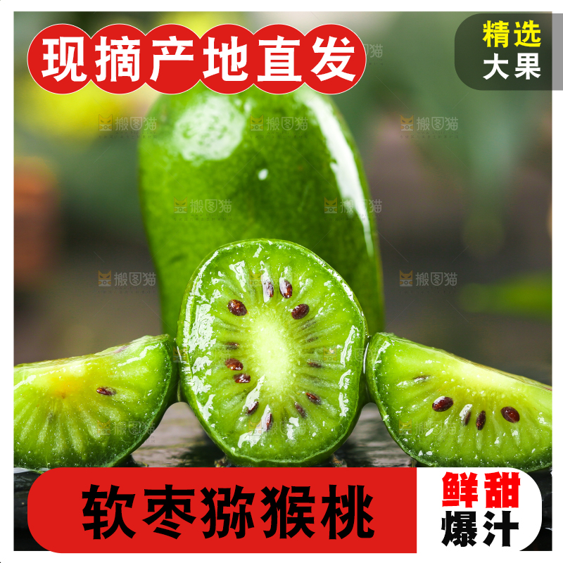 深底上的软枣猕猴桃