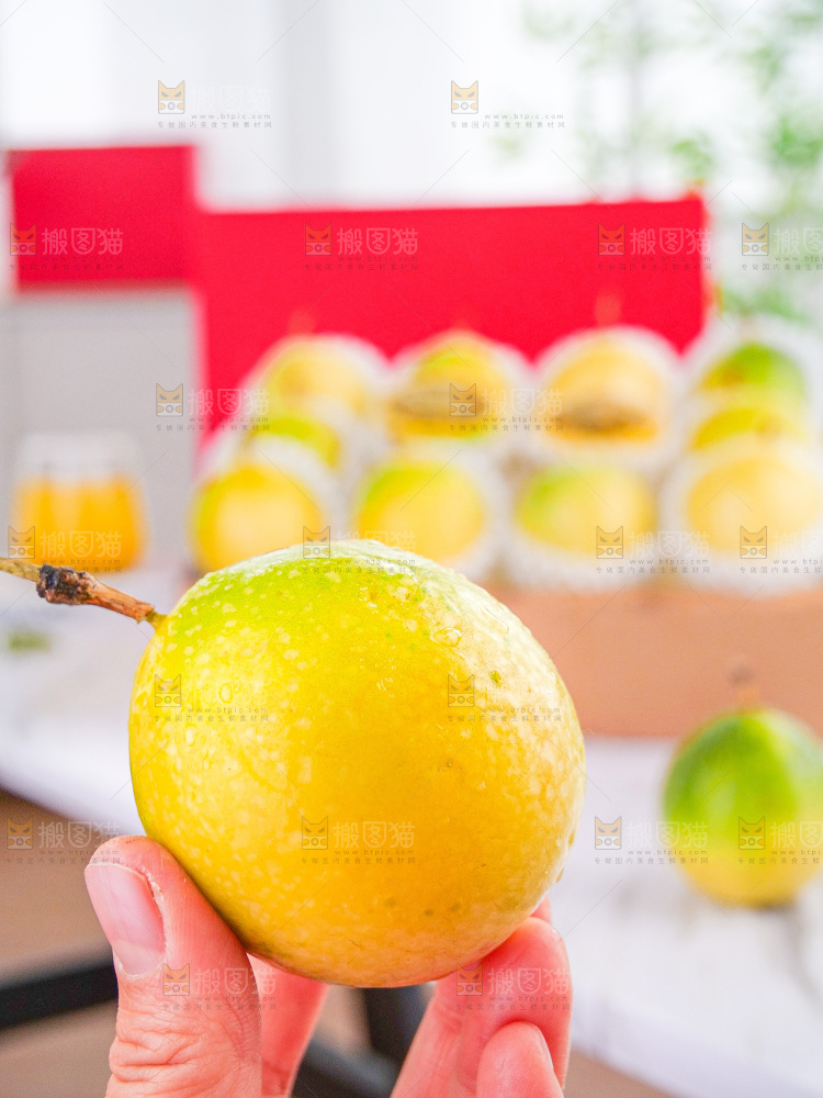 浅底上的花皮百香果