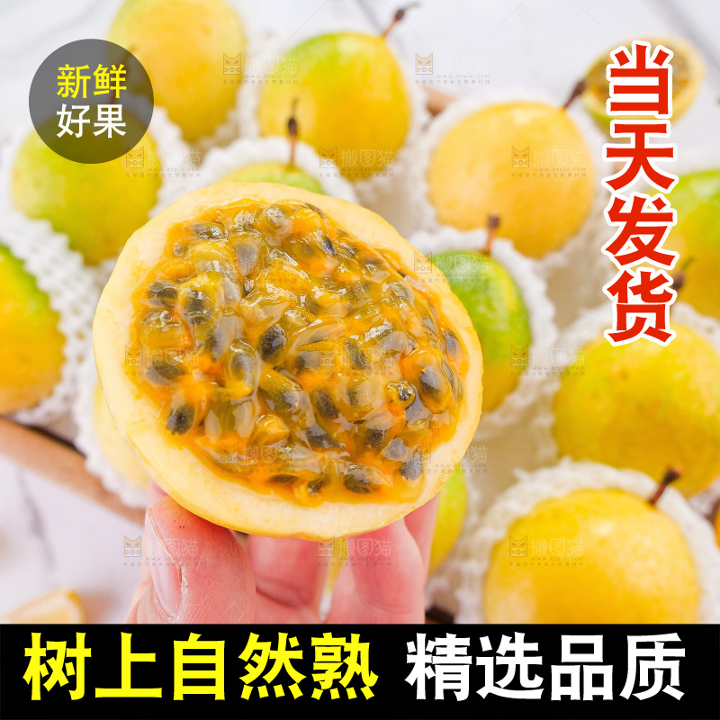 浅底上的花皮百香果