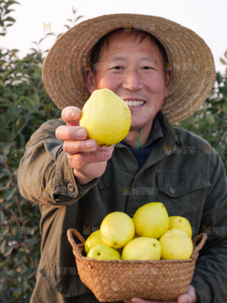 手里拿着白心芭乐