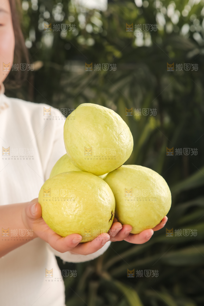 深底上的白心芭乐