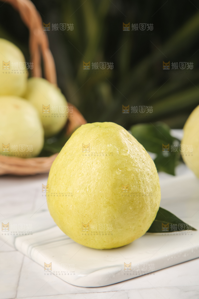 浅底上的白心芭乐