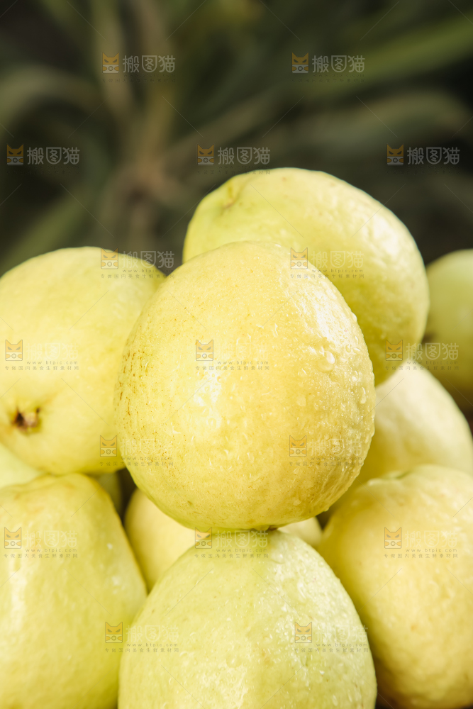 深底上的白心芭乐