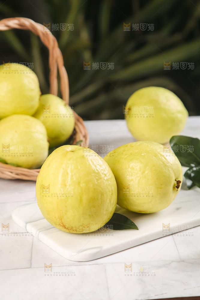 浅底上的白心芭乐