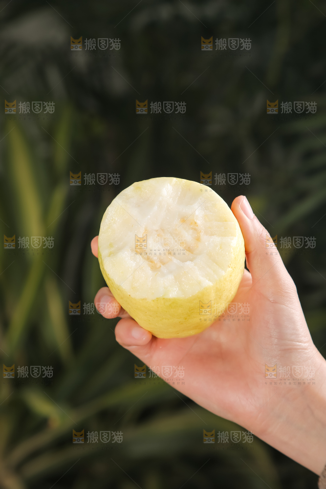 深底上的白心芭乐