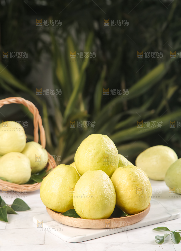浅底上的白心芭乐
