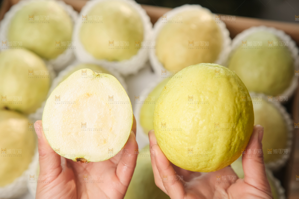 礼盒装的白心芭乐