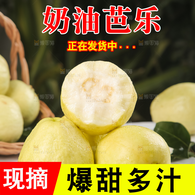 浅底上的白心芭乐