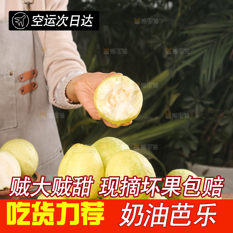 深底上的白心芭乐