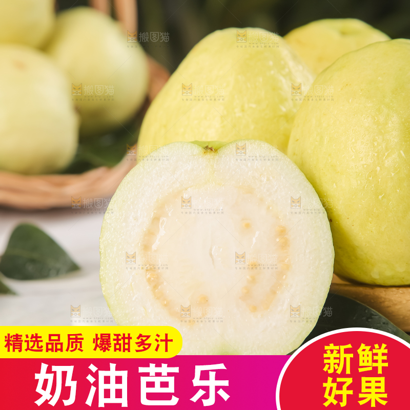 浅底上的白心芭乐