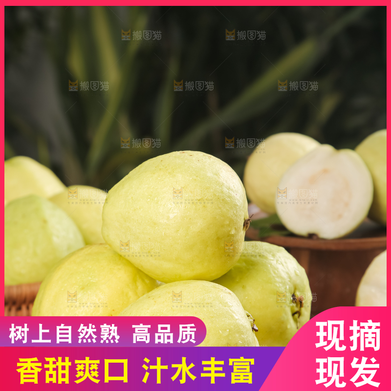 深底上的白心芭乐