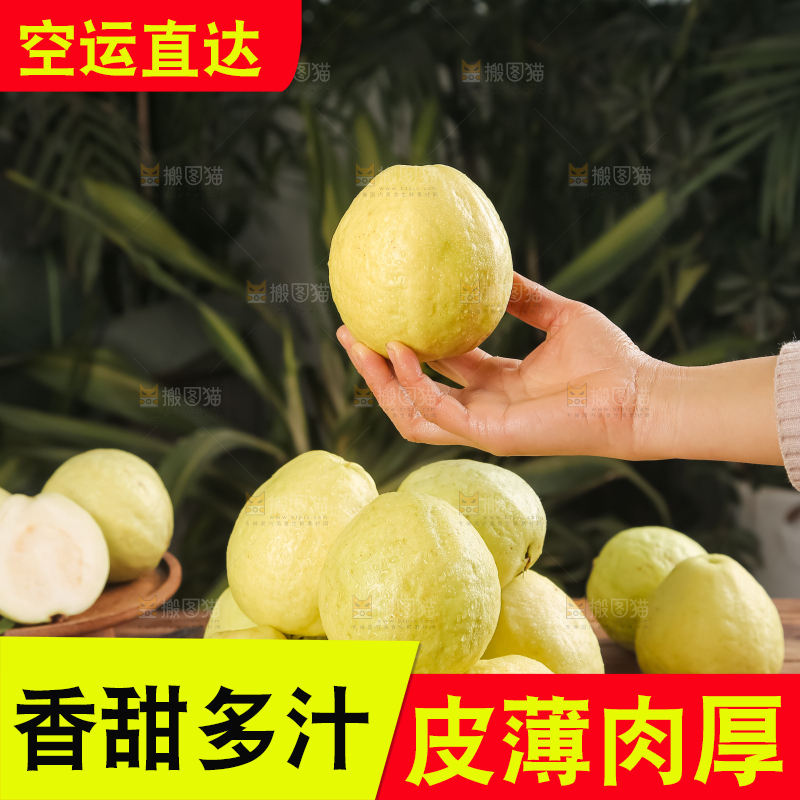 深底上的白心芭乐