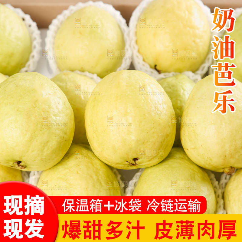 礼盒装的白心芭乐