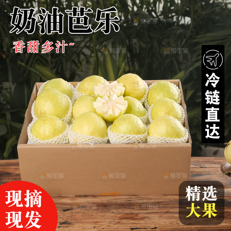 礼盒装的白心芭乐
