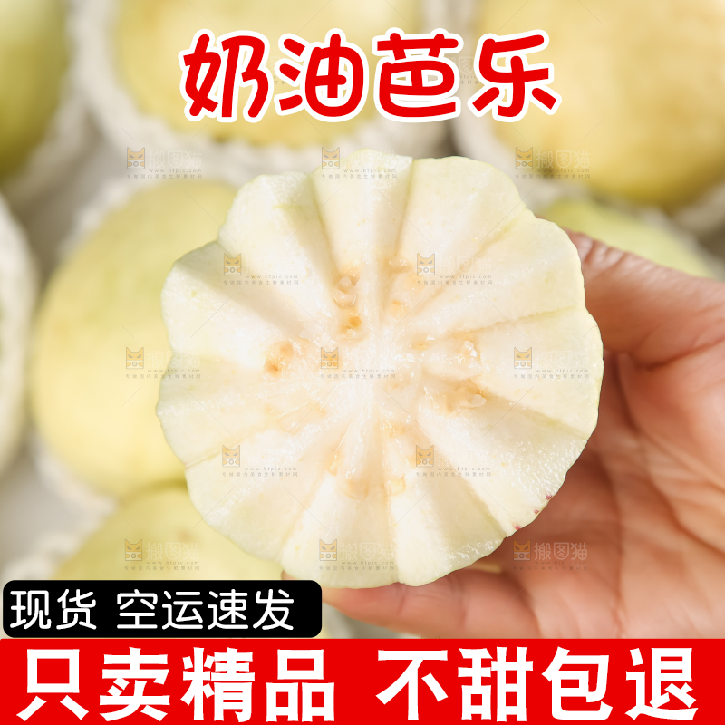 礼盒装的白心芭乐