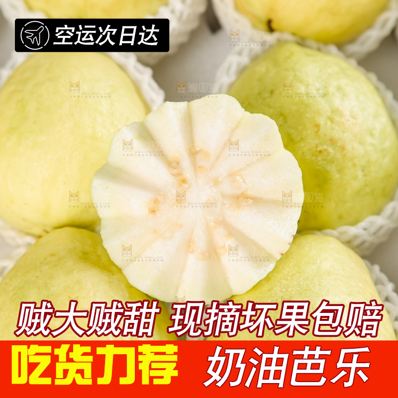 礼盒装的白心芭乐