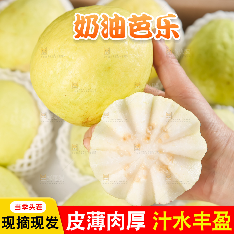 礼盒装的白心芭乐
