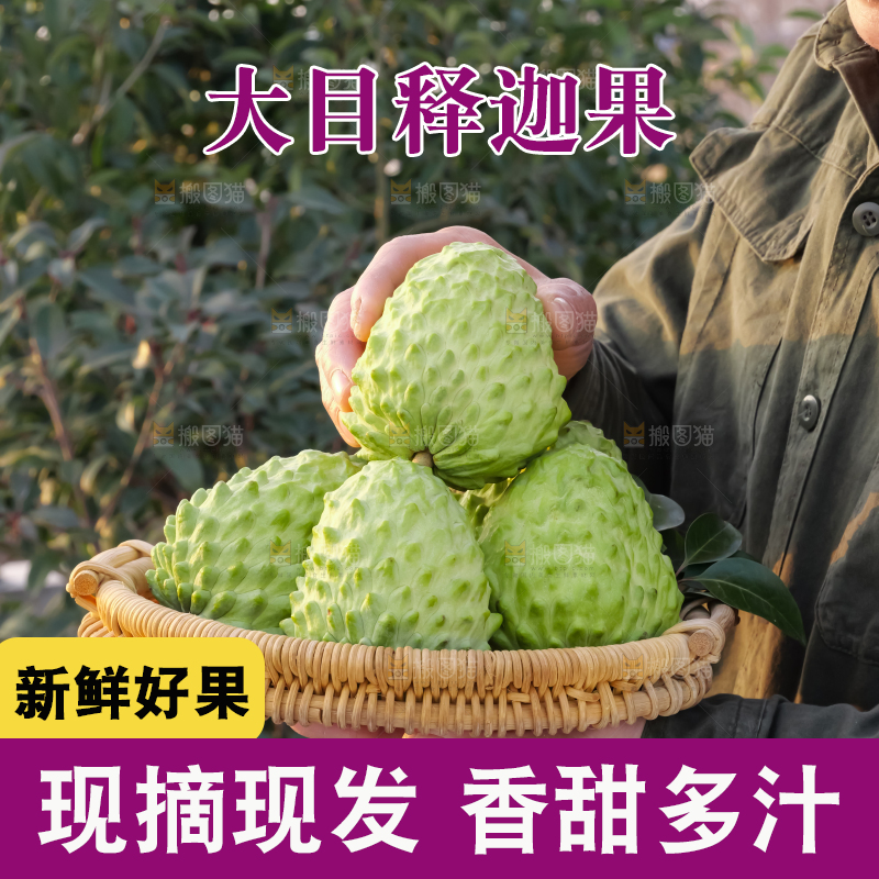 手里拿着释迦果
