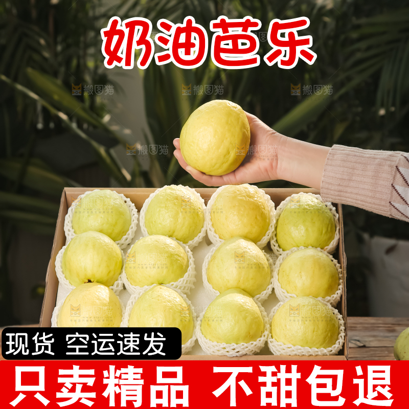 礼盒装的白心芭乐