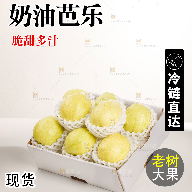 礼盒装的白心芭乐