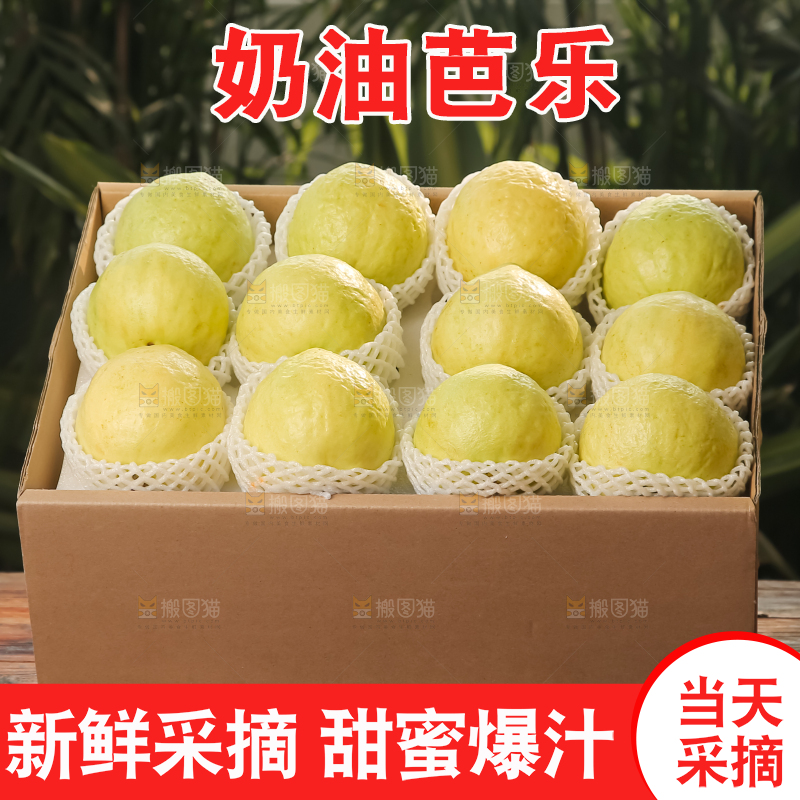 礼盒装的白心芭乐