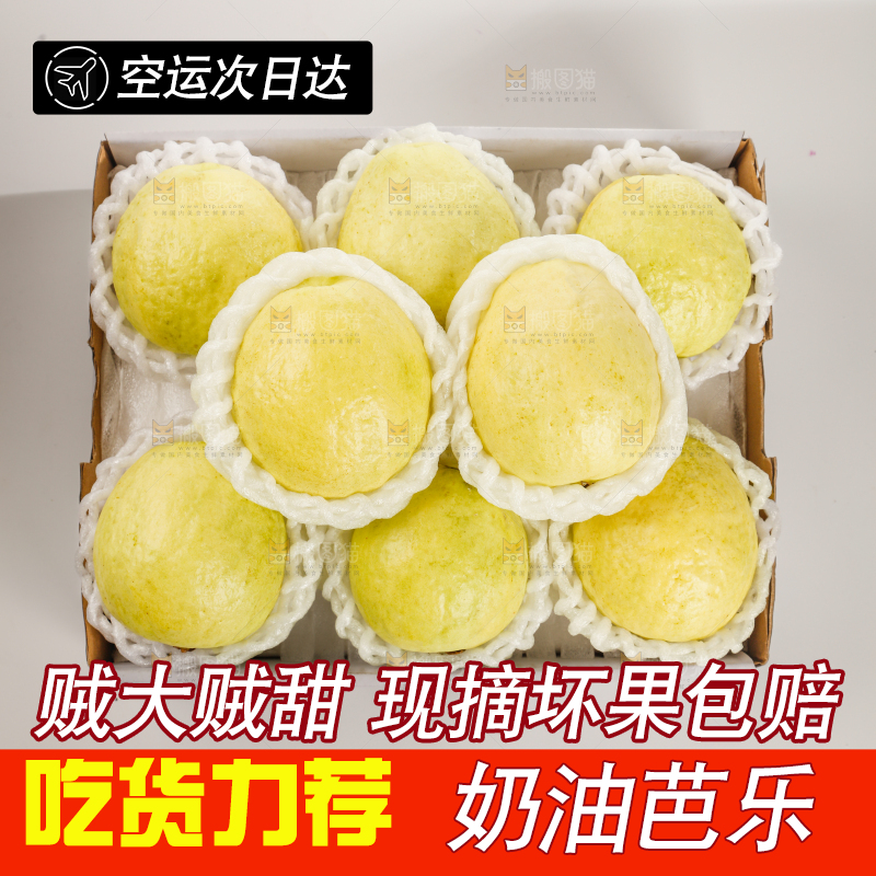 礼盒装的白心芭乐