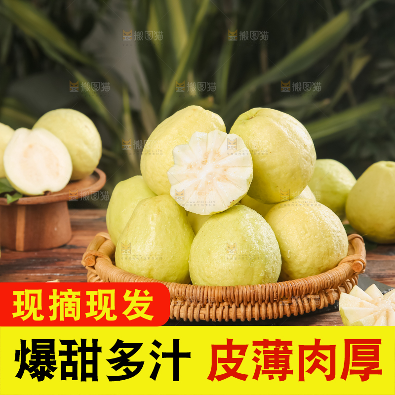 深底上的白心芭乐