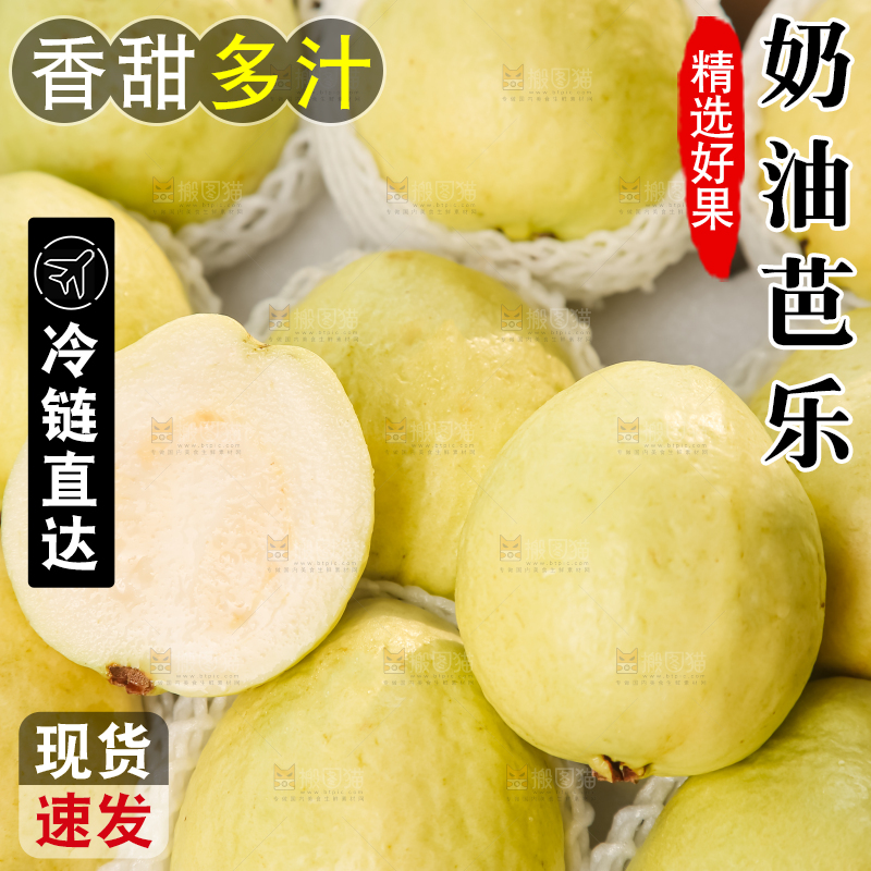礼盒装的白心芭乐
