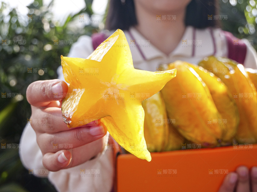 杨桃