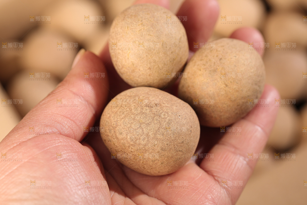 桂圆干