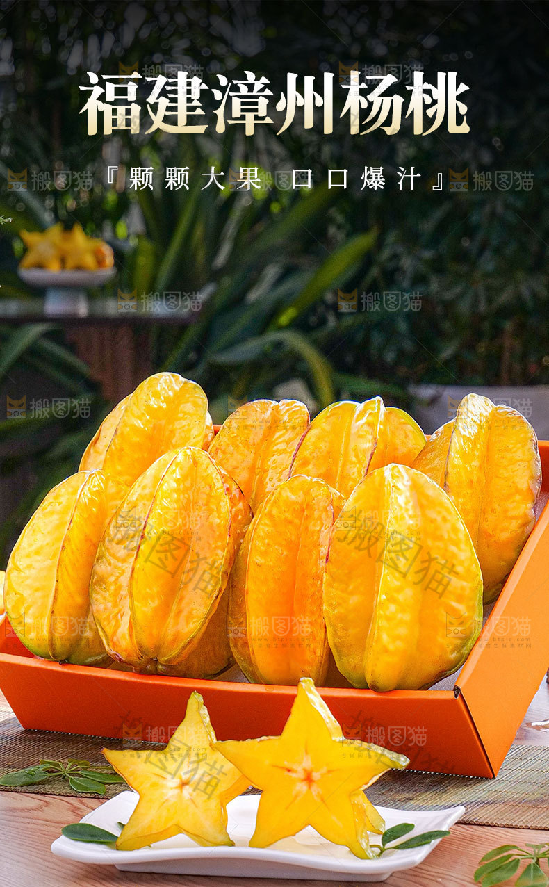 漳州杨桃详情