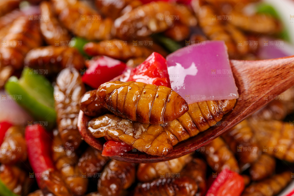 金丝蚕蛹