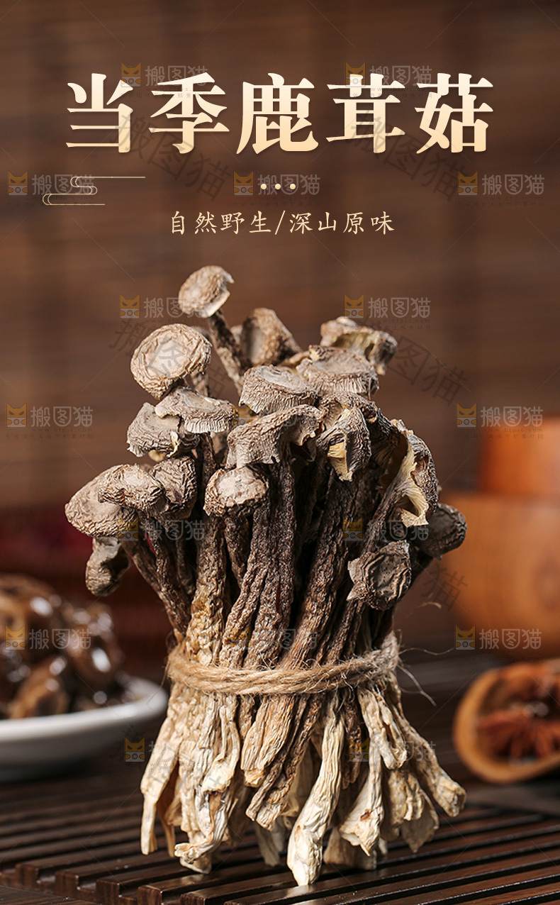 鹿茸菇详情页