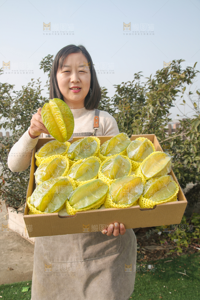 杨桃