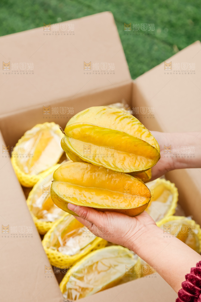 杨桃