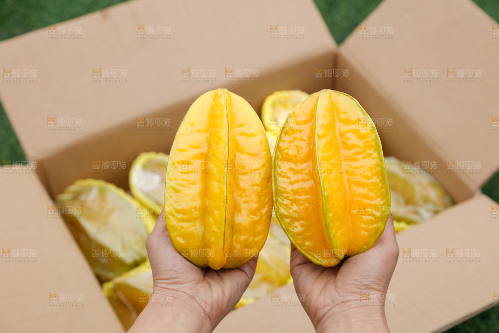 杨桃