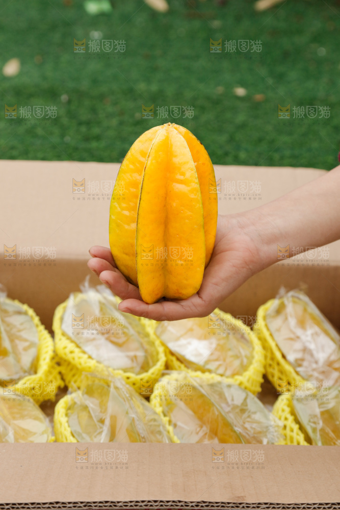 杨桃