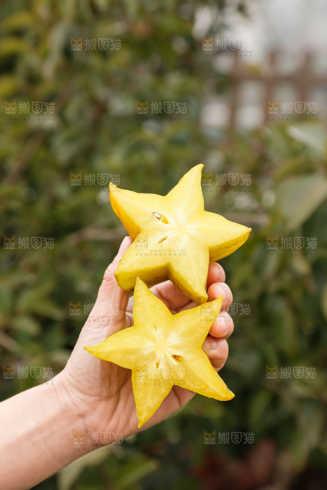 杨桃