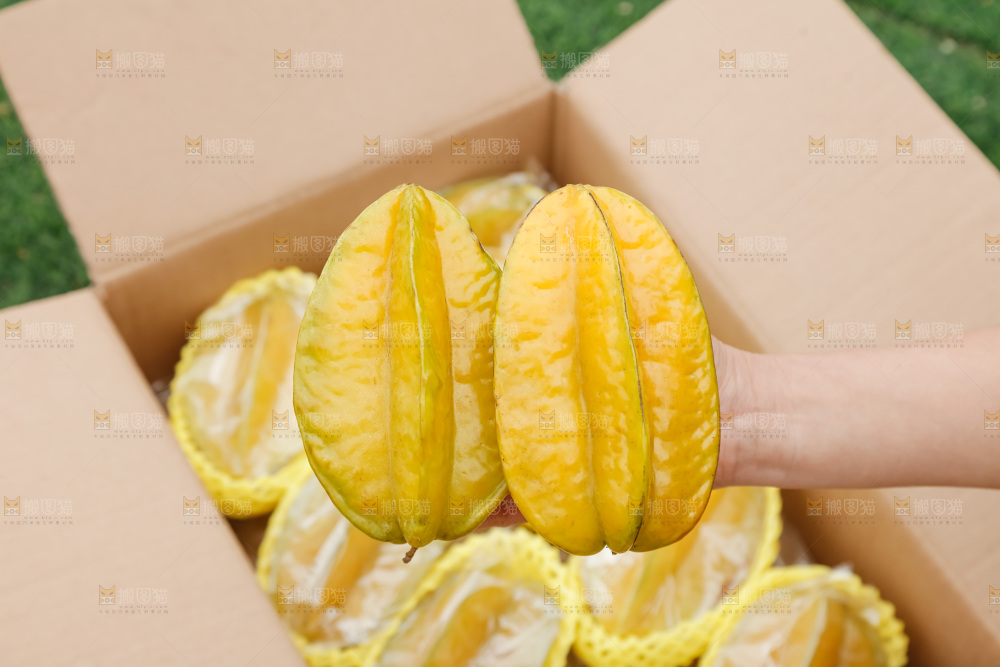 杨桃