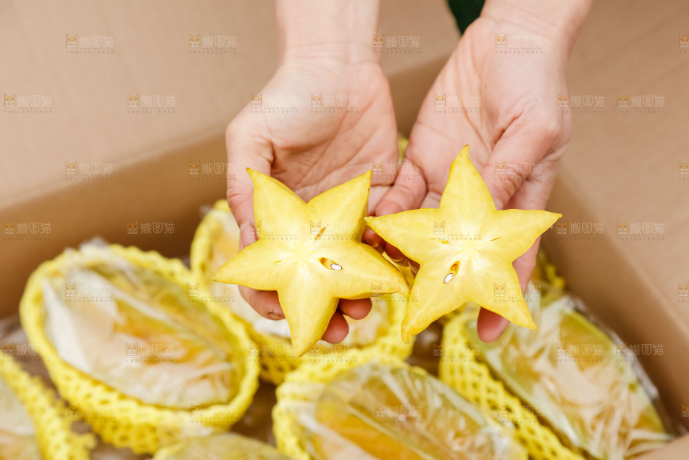 杨桃