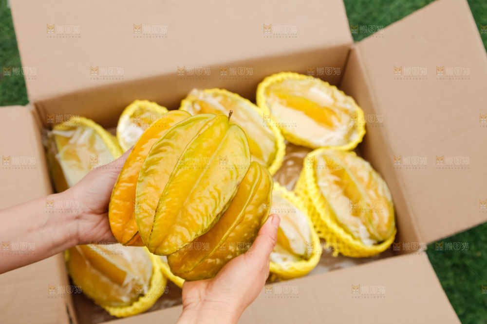 杨桃