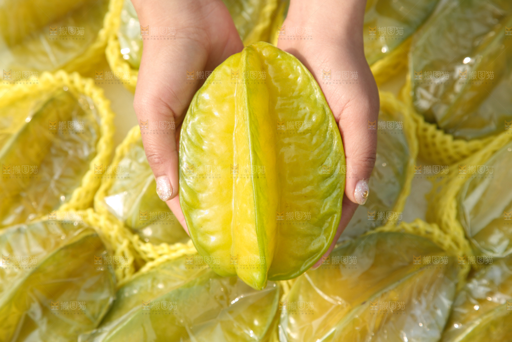 杨桃