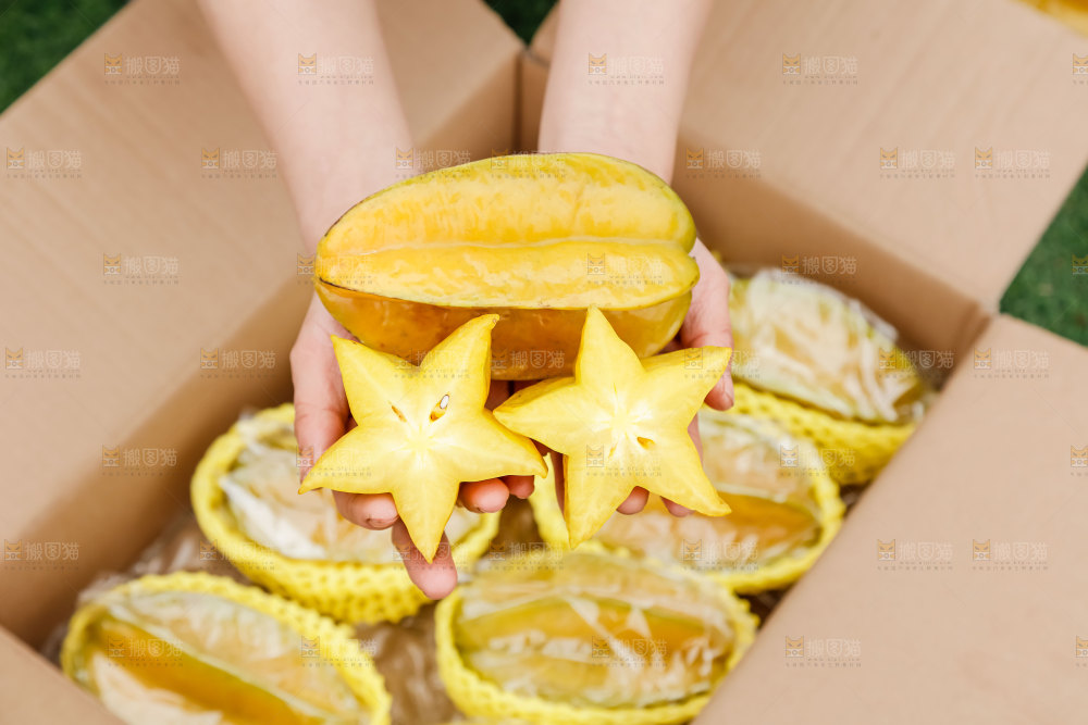 杨桃