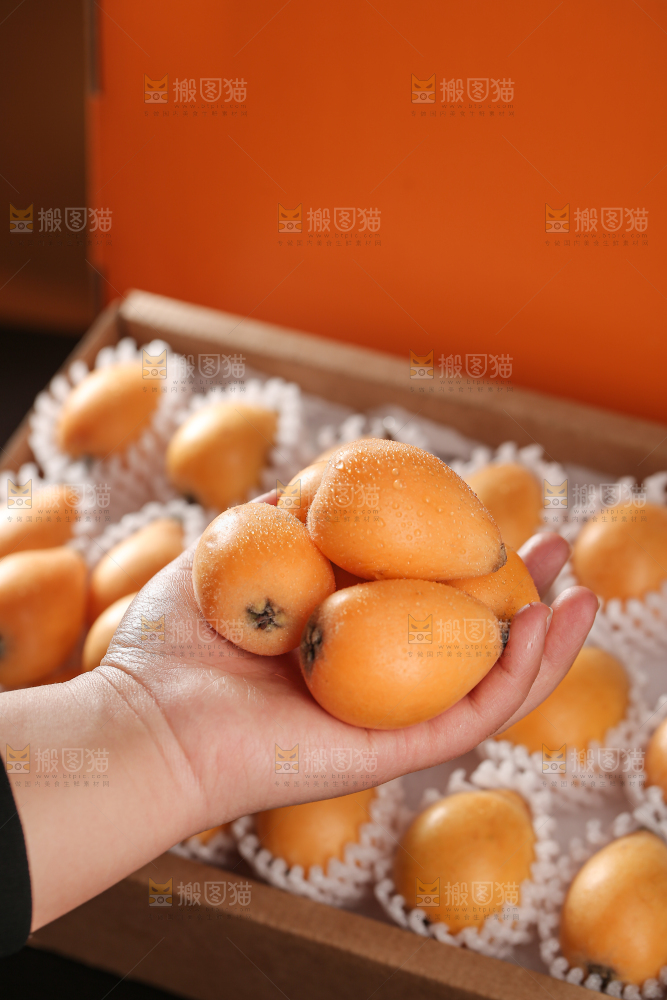 蒙自枇杷