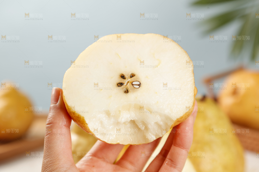 手里拿的丑梨
