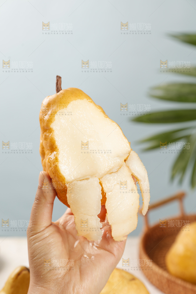 手里拿的丑梨