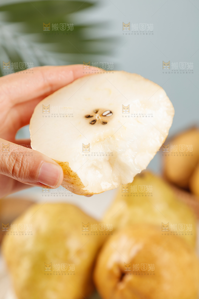 手里拿的丑梨