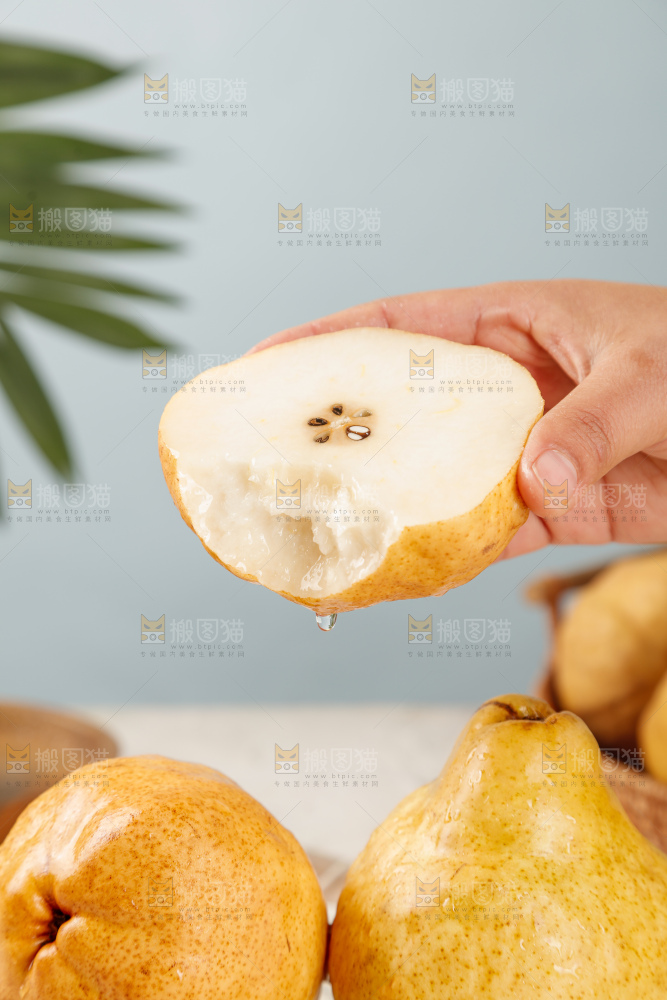 手里拿的丑梨