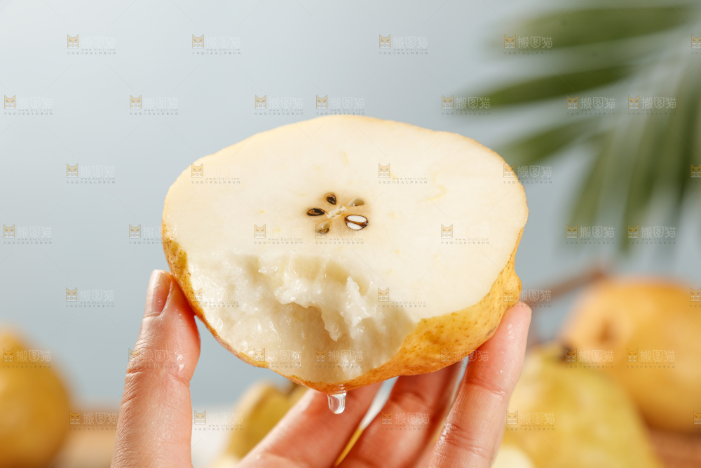 手里拿的丑梨